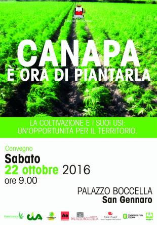 “Canapa è ora di piantarla” a Capannori - Altreconomia