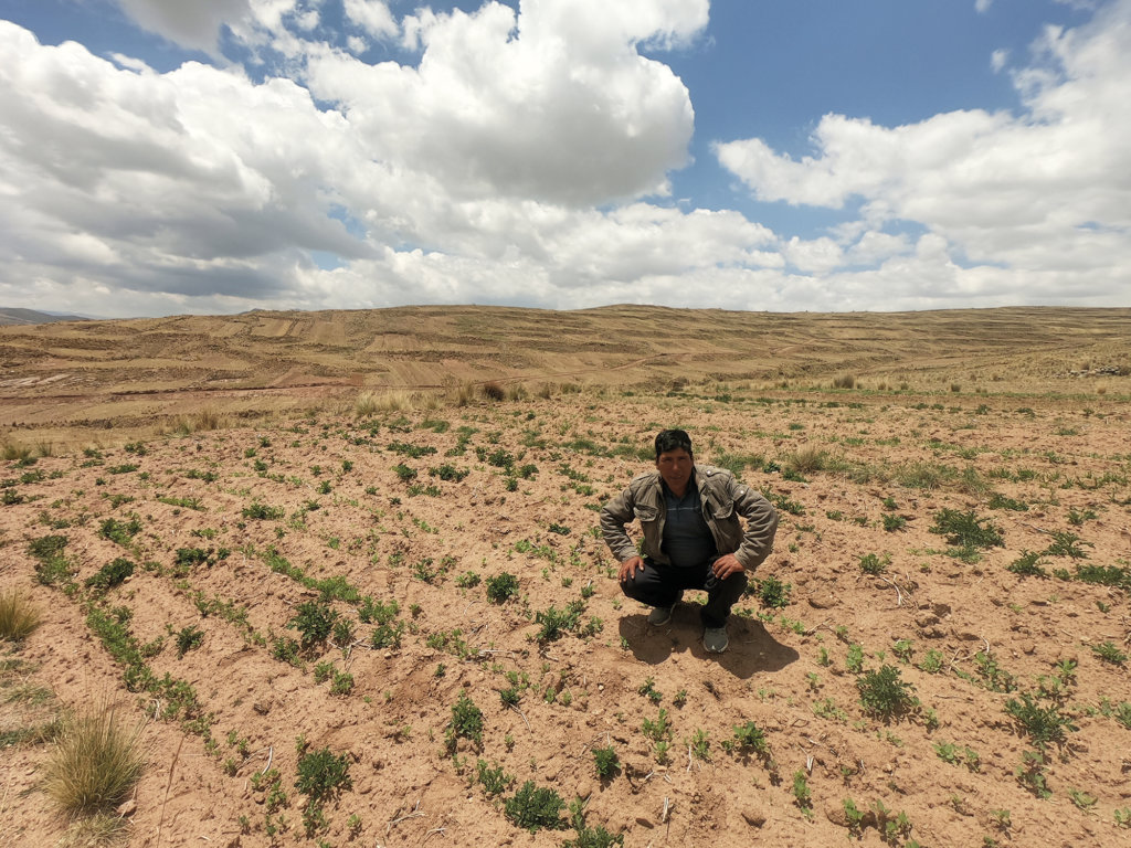 sulle ande in peru dove gli agricoltori di quinoa difendono la biodiversita altreconomia